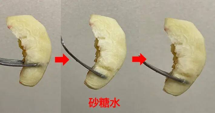 桃を『塩水、砂糖水、レモン水』に浸して30分後…　色の変化に「気にならない」「味もいい」