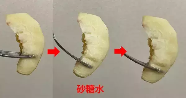 「桃を『塩水、砂糖水、レモン水』に浸して30分後…　色の変化に「気にならない」「味もいい」」の画像