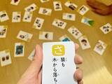 「『ダイソー』のかるた　夏休み中の息子とやってみた「おうち時間の救世主」」の画像1