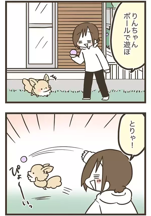 「庭で楽しそうに遊ぶチワワ、実はその庭は…　漫画で描く『家族』の物語に感動」の画像