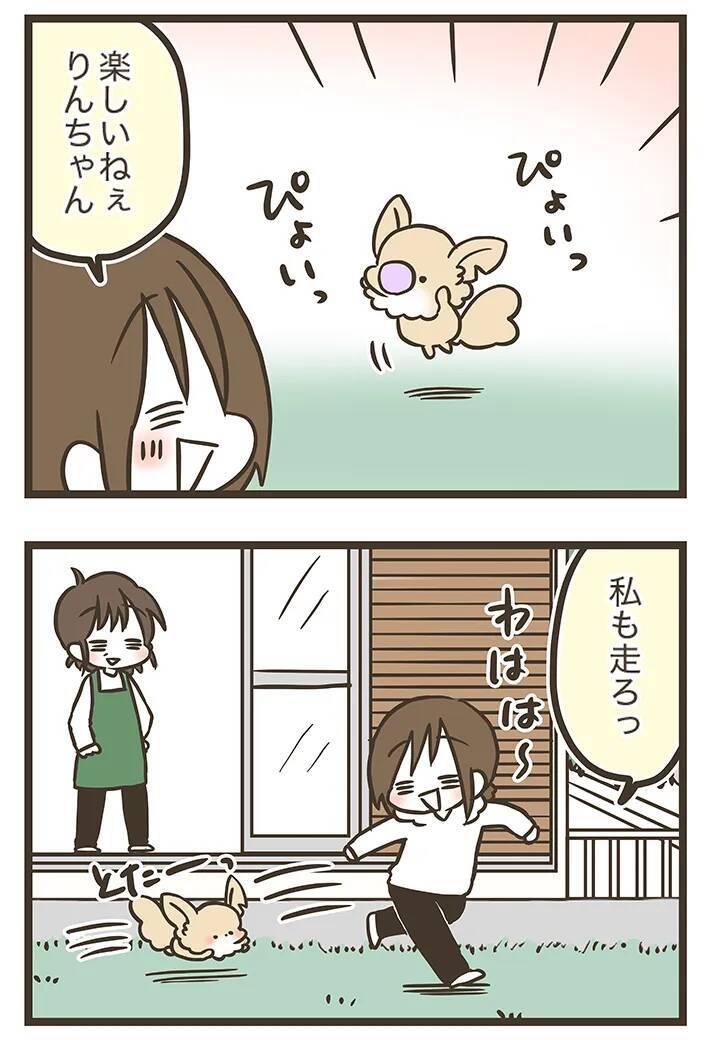庭で楽しそうに遊ぶチワワ、実はその庭は…　漫画で描く『家族』の物語に感動