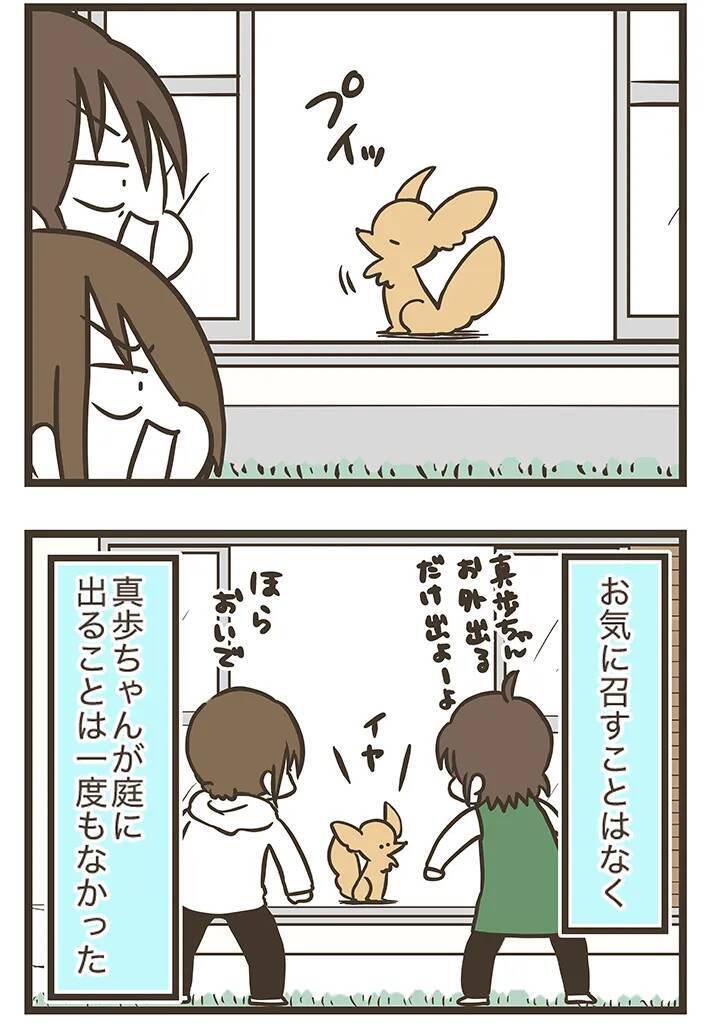 愛犬のために人工芝を敷いたのに…　予想外のそっけない態度に癒される