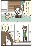 「愛犬のために人工芝を敷いたのに…　予想外のそっけない態度に癒される」の画像5