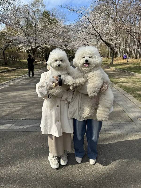 愛犬を抱っこして撮っただけなのに…　まさかの光景に「目を疑ったわ」「それにしか見えない」