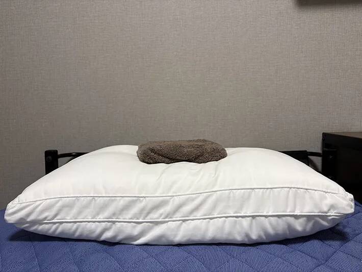 濡らしたペットシーツを凍らせると？　暑い日に役立つ活用法が、こちら