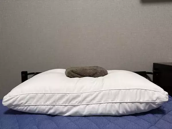 「濡らしたペットシーツを凍らせると？　暑い日に役立つ活用法が、こちら」の画像