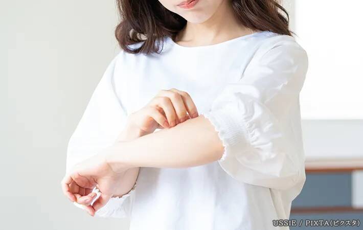 暑さで蚊はいなくなるのか？　殺虫剤メーカーに真相を聞いてみた！