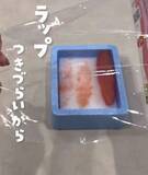 「「包丁は使いません」　ささみの筋取りに使うのは？「スルッと取れた」「快感」」の画像6