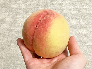 桃に4周切れ込みを入れて…　『ルービックキューブ』みたいな切り方に「3分もかからない」「簡単」