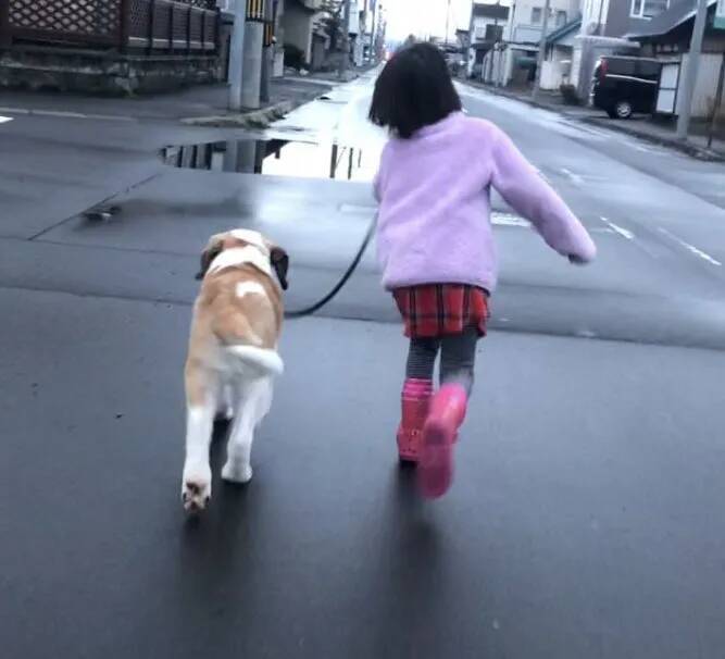 小学生と子犬が…　5年半後の『同じ構図』に7万人が涙「物語を感じる」「2人とも同じだ」
