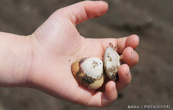 農林水産省が注意喚起！　意外と知らない『貝毒』とは？