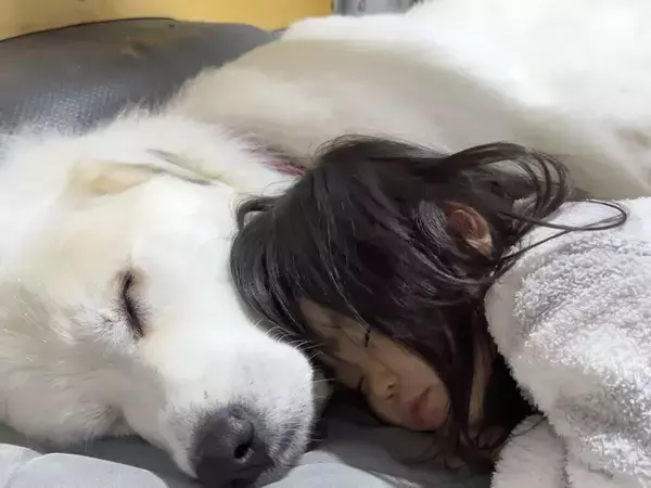 ３歳の娘と４歳の愛犬、お昼寝姿がまるで？　「かわいすぎて泣ける」「素敵な関係」