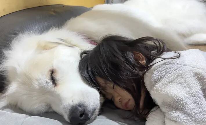 ３歳の娘と４歳の愛犬、お昼寝姿がまるで？　「かわいすぎて泣ける」「素敵な関係」