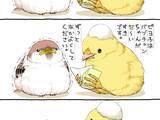 「スズメがヒヨコに向けて読んだ手紙が…2羽が号泣したワケに心温まる【漫画】」の画像1
