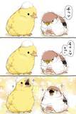 「スズメがヒヨコに向けて読んだ手紙が…2羽が号泣したワケに心温まる【漫画】」の画像3