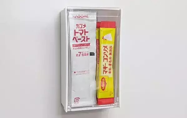 「冷蔵庫にペタッとつけて調味料を収納　ダイソーで買った『ケース』が「使い勝手抜群！」」の画像