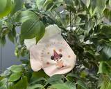 「ディズニーで買った限定土産　お菓子が入っていた袋をよく見てみると…？」の画像6