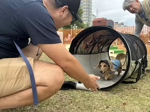 「もしもの時に備える！　専門家が教えるペットの『災害対策』とは？【独自取材】」の画像