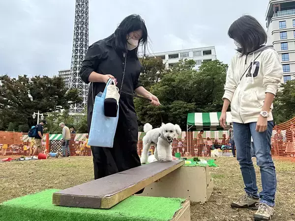 「もしもの時に備える！　専門家が教えるペットの『災害対策』とは？【独自取材】」の画像