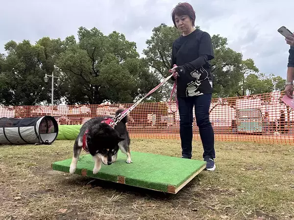 「もしもの時に備える！　専門家が教えるペットの『災害対策』とは？【独自取材】」の画像