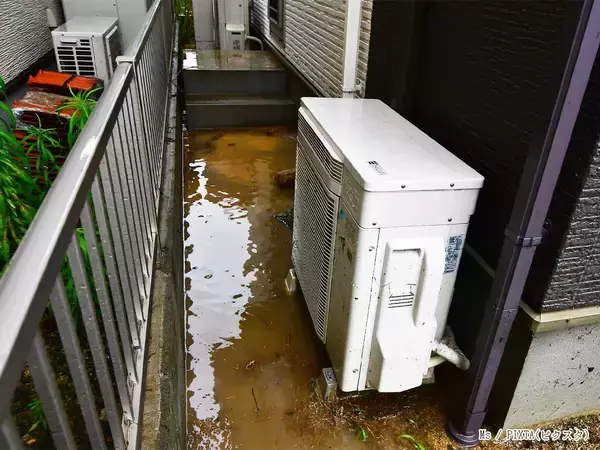 「意外と油断しがちなのは…」　ガーデニング会社が注意を呼びかけ【強風対策】