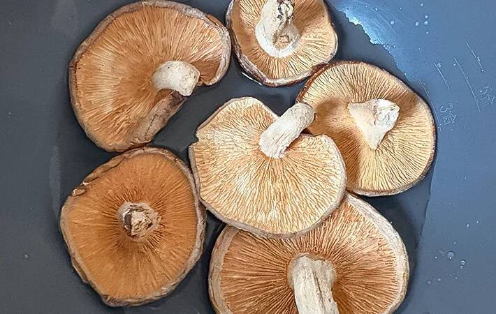 鶏手羽と一緒に煮込んだのは…？　子供が大喜びした『秋の味覚』堪能レシピ