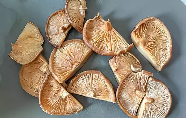 「鶏手羽と一緒に煮込んだのは…？　子供が大喜びした『秋の味覚』堪能レシピ」の画像