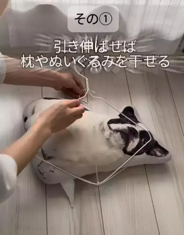 「家に余っている針金ハンガーが大活躍　「まさかの使い道」に驚きの声」の画像