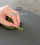 「製氷皿に『大葉』を入れると…　完成したものに「発想が天才」「早速やる！」」の画像6