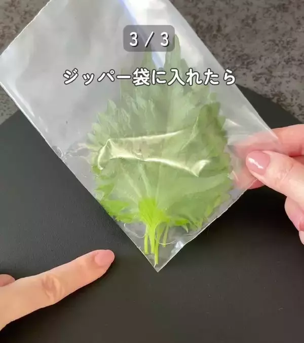 「製氷皿に『大葉』を入れると…　完成したものに「発想が天才」「早速やる！」」の画像