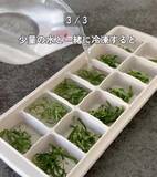 「製氷皿に『大葉』を入れると…　完成したものに「発想が天才」「早速やる！」」の画像9