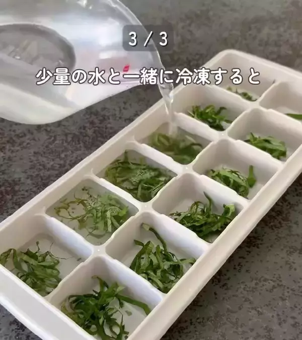 「製氷皿に『大葉』を入れると…　完成したものに「発想が天才」「早速やる！」」の画像