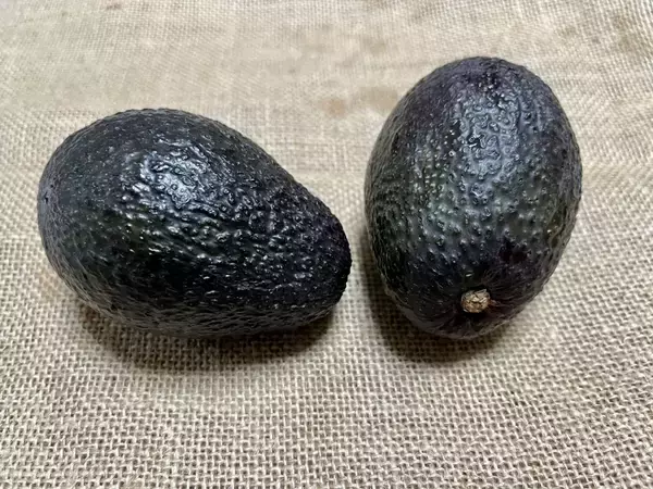 アボカドに『刻みミョウガ』をドサッ！　食べる直前に仕上げた一皿がこちら【副菜4選】