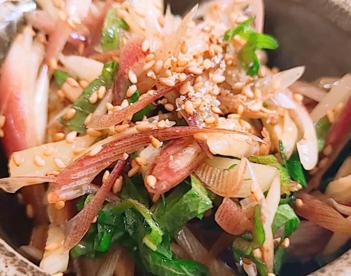 アボカドに『刻みミョウガ』をドサッ！　食べる直前に仕上げた一皿がこちら【副菜4選】