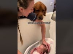赤ちゃんをお風呂に入れていると？　犬のリアクションに「爆笑した！」