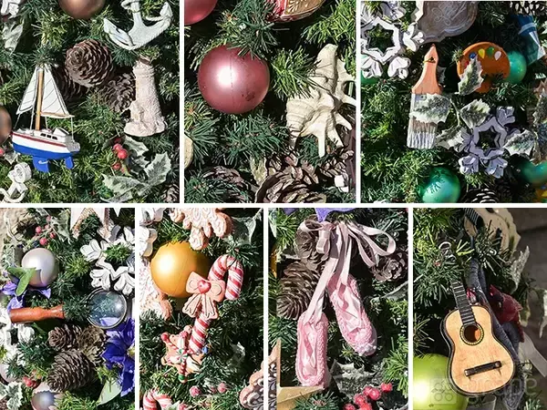 「【ディズニー】クリスマスの写真スポット！　カメラマン直伝の撮り方とは？」の画像