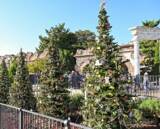 「【ディズニー】クリスマスの写真スポット！　カメラマン直伝の撮り方とは？」の画像11