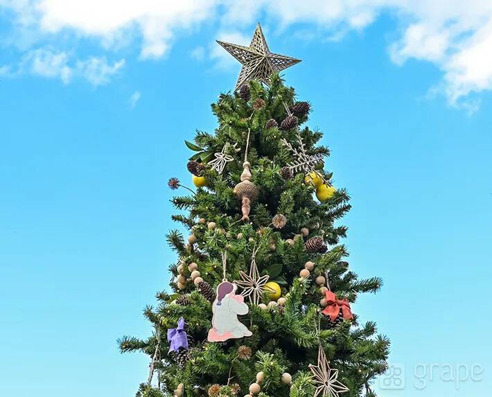 【ディズニー】クリスマスの写真スポット！　カメラマン直伝の撮り方とは？