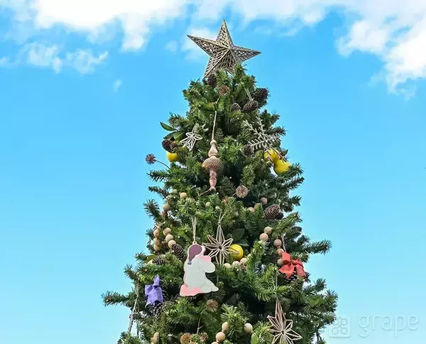 「【ディズニー】クリスマスの写真スポット！　カメラマン直伝の撮り方とは？」の画像