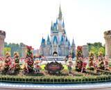 「【ディズニー】クリスマスの写真スポット！　カメラマン直伝の撮り方とは？」の画像18