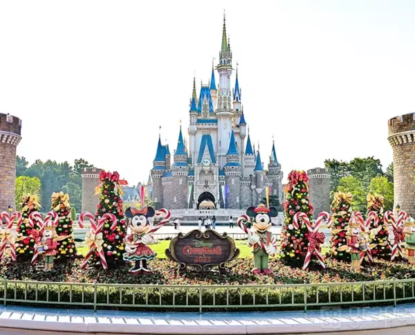 「【ディズニー】クリスマスの写真スポット！　カメラマン直伝の撮り方とは？」の画像