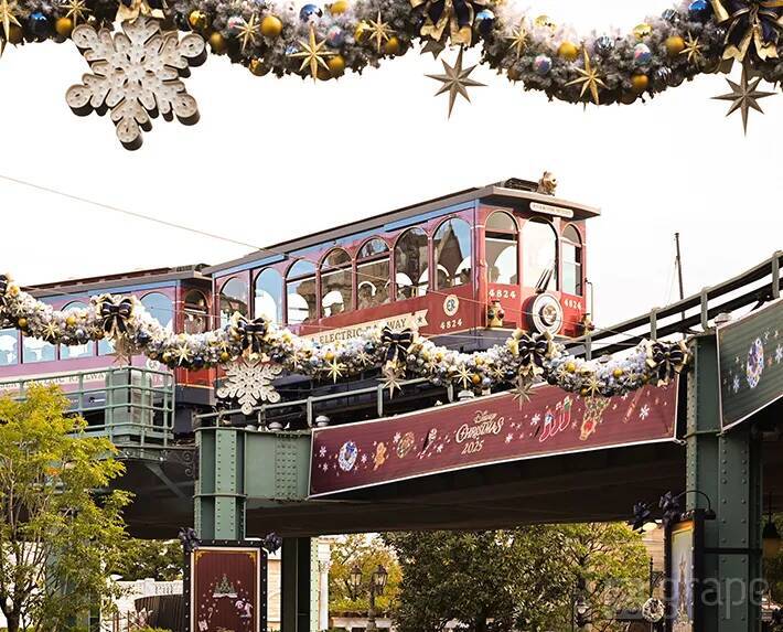 【ディズニー】クリスマスの写真スポット！　カメラマン直伝の撮り方とは？