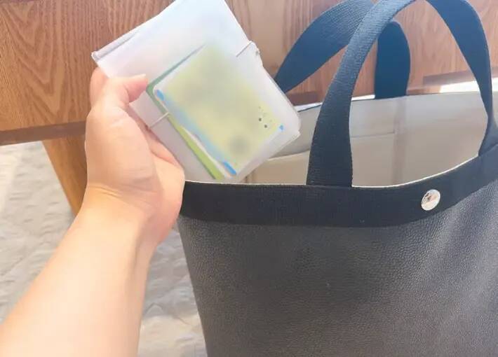 ダイソーで買った『仕分けポーチ』の活用法5選　「バッグの中で散らばらない」