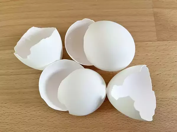 「水筒の茶渋、卵の殻で落ちる？　実際に試した結果がこちら」の画像