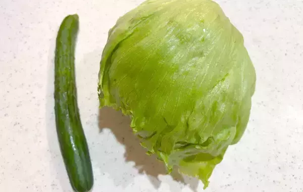 「レタスとキュウリのサラダ　ドレッシング代わりに『1袋』かけると？「いつものよりおいしい」」の画像