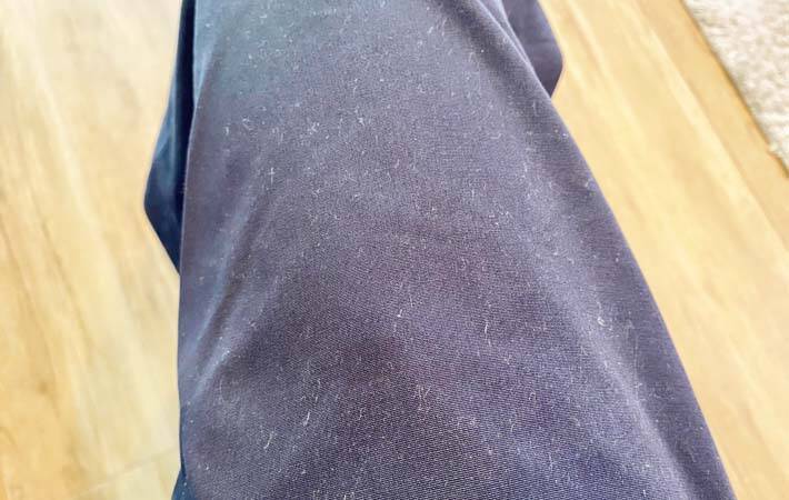 キャンドゥのホコリ取り　柄の部分に別の機能があって…？