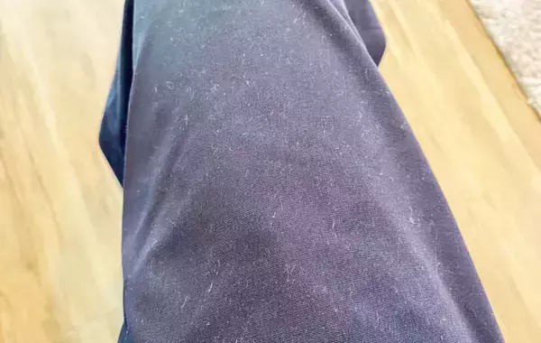 「キャンドゥのホコリ取り　柄の部分に別の機能があって…？」の画像