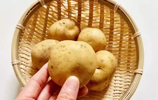 「新ジャガ、フードスペシャリストはこう食べる！　ひき肉と炒めたら「家族にヒット」」の画像