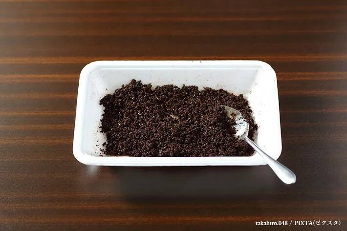 農薬代0円！　家にある素材でできるプロ直伝の害虫対策5選