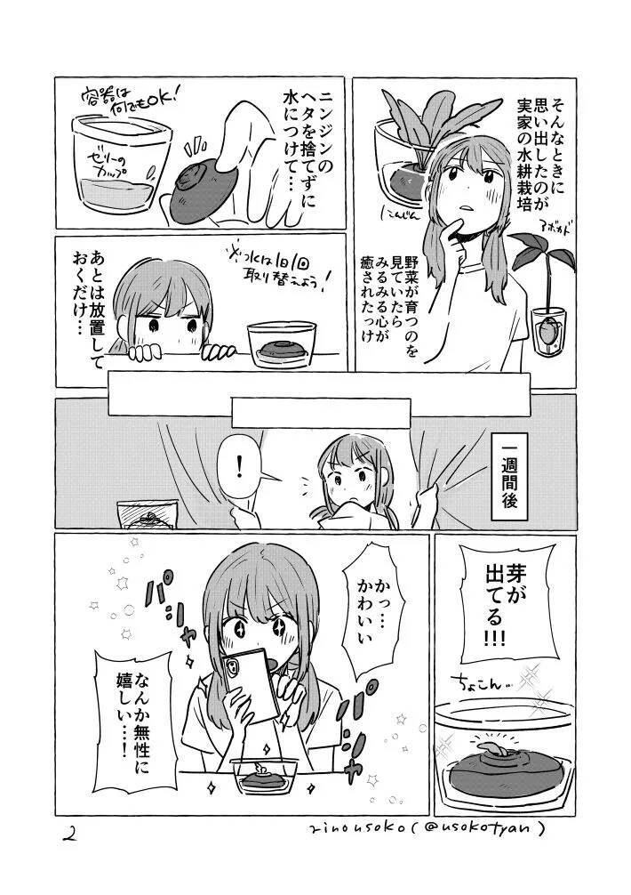 「お金をかけずに癒されたい…」ニンジンのヘタを捨てずに水に浸けた結果？【漫画】